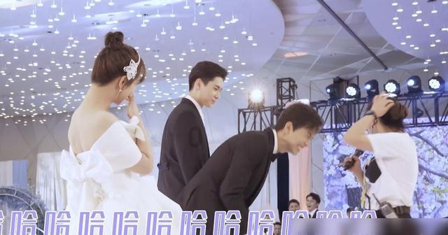 探寻吉鹿力!尽在小笼包的面怎么和的,很松软问答社区